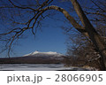 初冬の駒ケ岳2 28066905