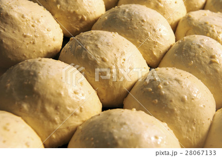 Lots of dough waiting to go into the oven Lots of dough waiting to go into the oven 28067133