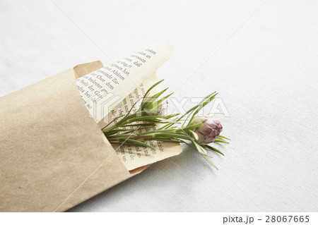 封筒に手紙 封筒に手紙 28067665