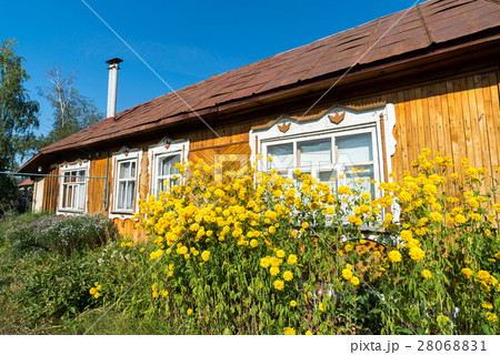 Yellow flowers in front of village house Yellow flowers in front of village house 28068831