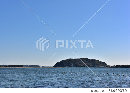 水鳥浮かぶ奥浜名湖の冬 28069030