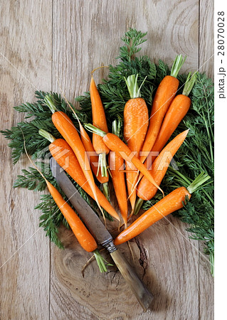 Fresh peeled carrots on green tops Fresh peeled carrots on green tops 28070028
