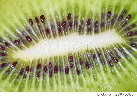 Kiwi fruit with green pulp and black seeds Kiwi fruit with green pulp and black seeds 28070396