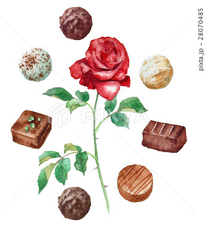 高級チョコと赤いバラのイラスト素材