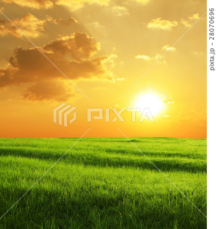 Nature stock images Nature stock images 28070696