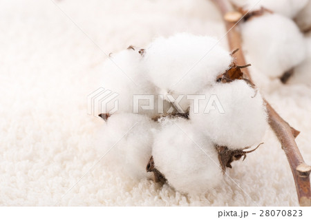 Nature stock images Nature stock images 28070823