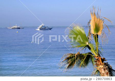 Nature stock images 28070863