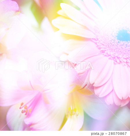 Nature stock images Nature stock images 28070867