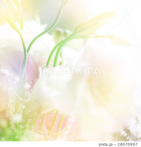 Nature stock images Nature stock images 28070997
