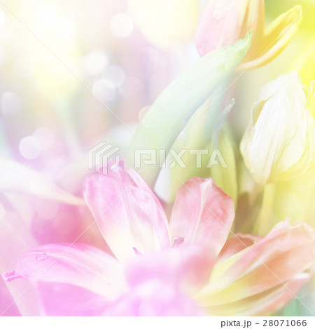 Nature stock images 28071066