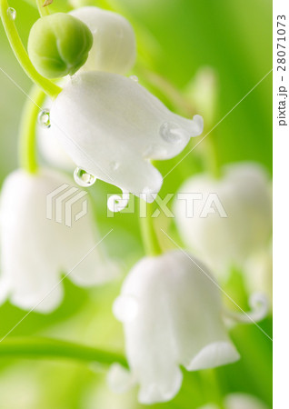 Nature stock images 28071073