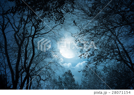 Nature stock images 28071154
