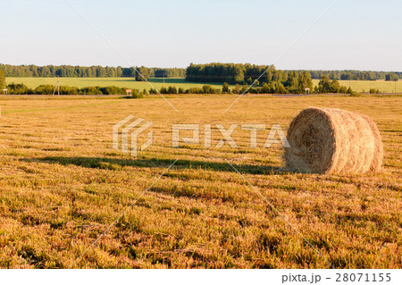 Nature stock images 28071155