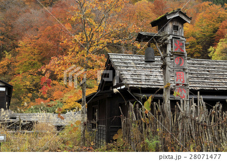 10月 鶴の湯 紅葉の乳頭温泉郷 秋の東北の写真素材