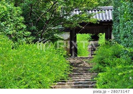 白毫寺:奈良 白毫寺:奈良 28073147