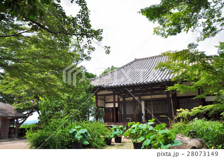 白毫寺:奈良 白毫寺:奈良 28073149