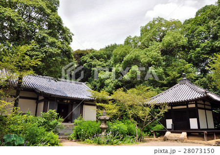 白毫寺:奈良 白毫寺:奈良 28073150