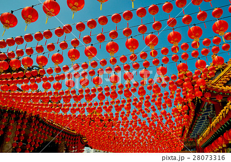 Chinese Lanterns Chinese Lanterns 28073316