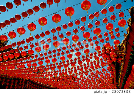 Chinese Lanterns 28073338