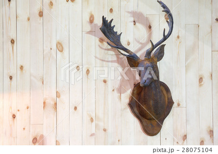 Deer horn antler Deer horn antler 28075104