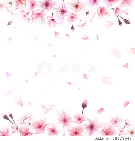 Blooming cherry. Spring background. Falling sakura Blooming cherry. Spring background. Falling sakura 28075945