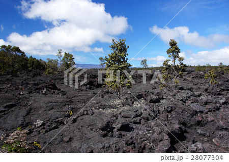 Lava at Hawaii, United States of America 28077304