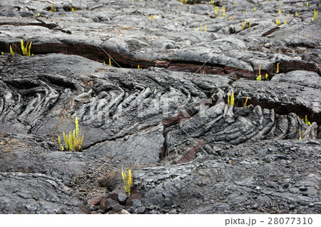 Lava at Hawaii, United States of America 28077310