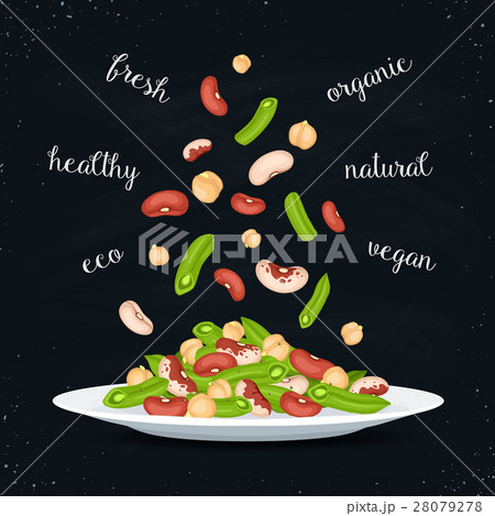 salad plate illustration salad plate illustration 28079278