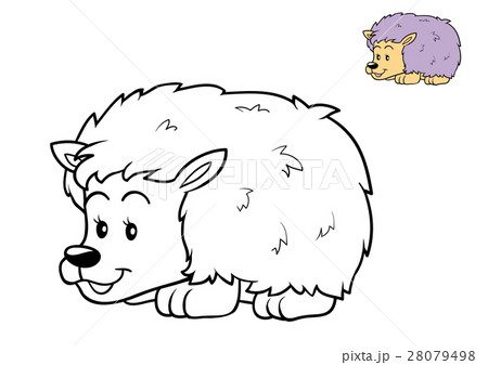 Coloring book, Hedgehog 28079498
