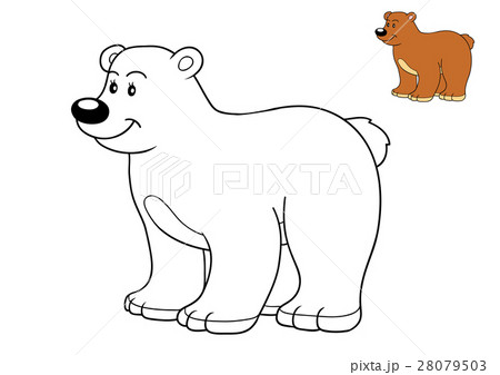 Coloring book, Bear 28079503