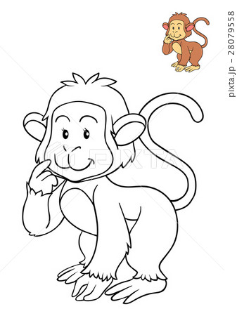 Coloring book, Monkey Coloring book, Monkey 28079558