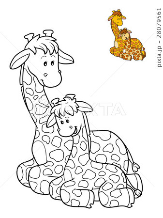 Coloring book, Giraffe Coloring book, Giraffe 28079561