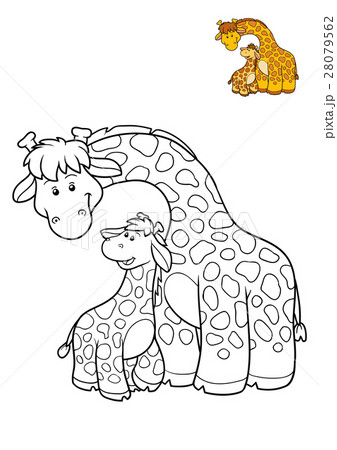 Coloring book, Giraffe Coloring book, Giraffe 28079562