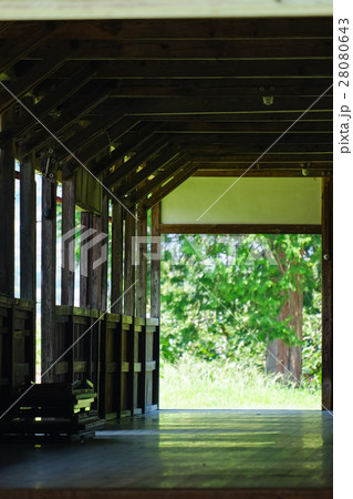 古い校舎 (69) 28080643