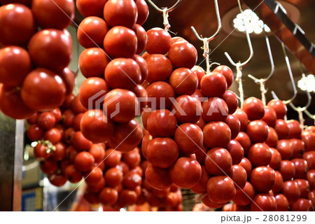 ボケリア市場 ボケリア市場 28081299