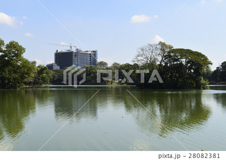 カンドージ湖と高層ビル カンドージ湖と高層ビル 28082381