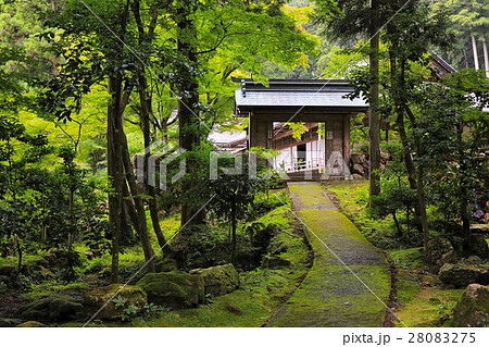 谷汲山華厳寺・2（岐阜県揖斐郡揖斐川町谷汲） 28083275
