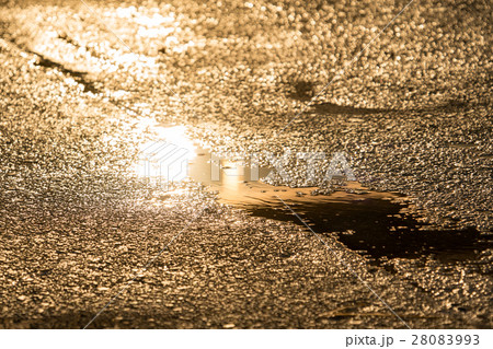 夕陽に濡れる雨上がりのアスファルト 28083993