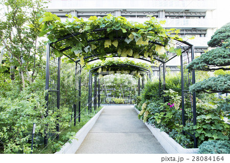 目黒天空庭園 28084164