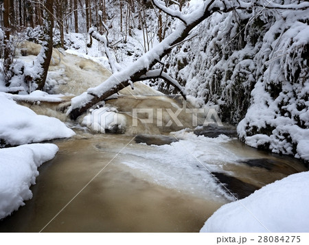 Frozen cascade of waterfall,icy twigs and boulders Frozen cascade of waterfall,icy twigs and boulders 28084275