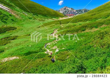 鷲羽岳と高原 28084423