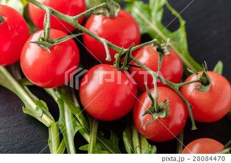 arugula and cherry tomatoes arugula and cherry tomatoes 28084470