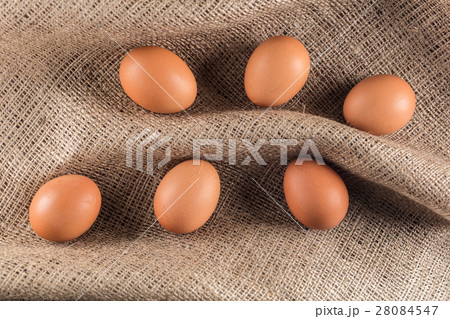 brown chicken eggs brown chicken eggs 28084547