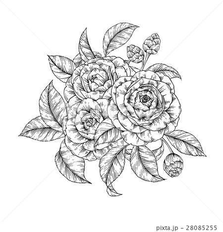 Floral camellia print Floral camellia print 28085255