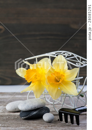 Balancing pebble stones and yellow flowers Balancing pebble stones and yellow flowers 28085291