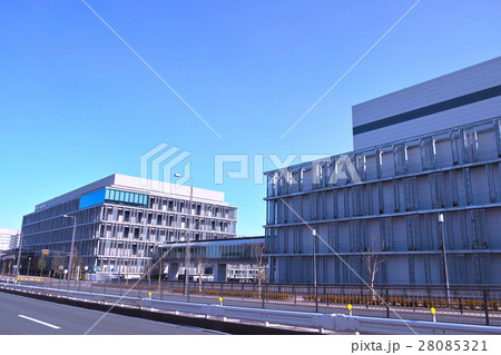 豊洲水産卸売場棟 28085321