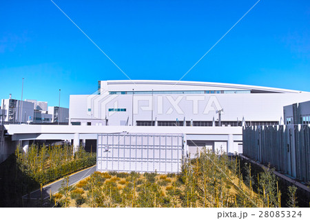 豊洲水産卸売場棟 28085324