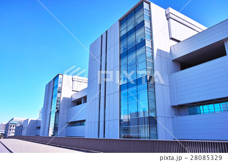 豊洲水産卸売場棟 28085329