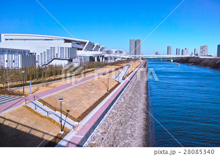 豊洲水産卸売場と運河 28085340