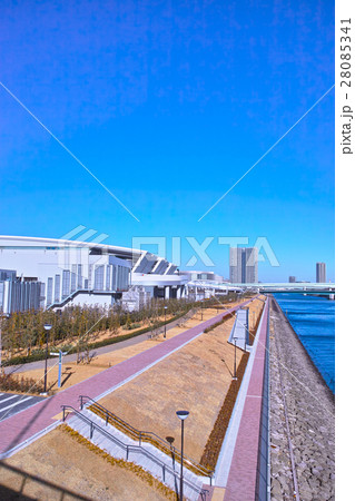 豊洲水産卸売場と運河 28085341